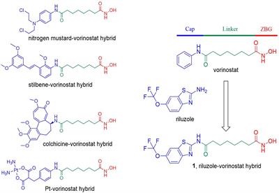 Discovery of a Novel Hybrid of Vorinostat and Riluzole as a Potent Antitumor Agent